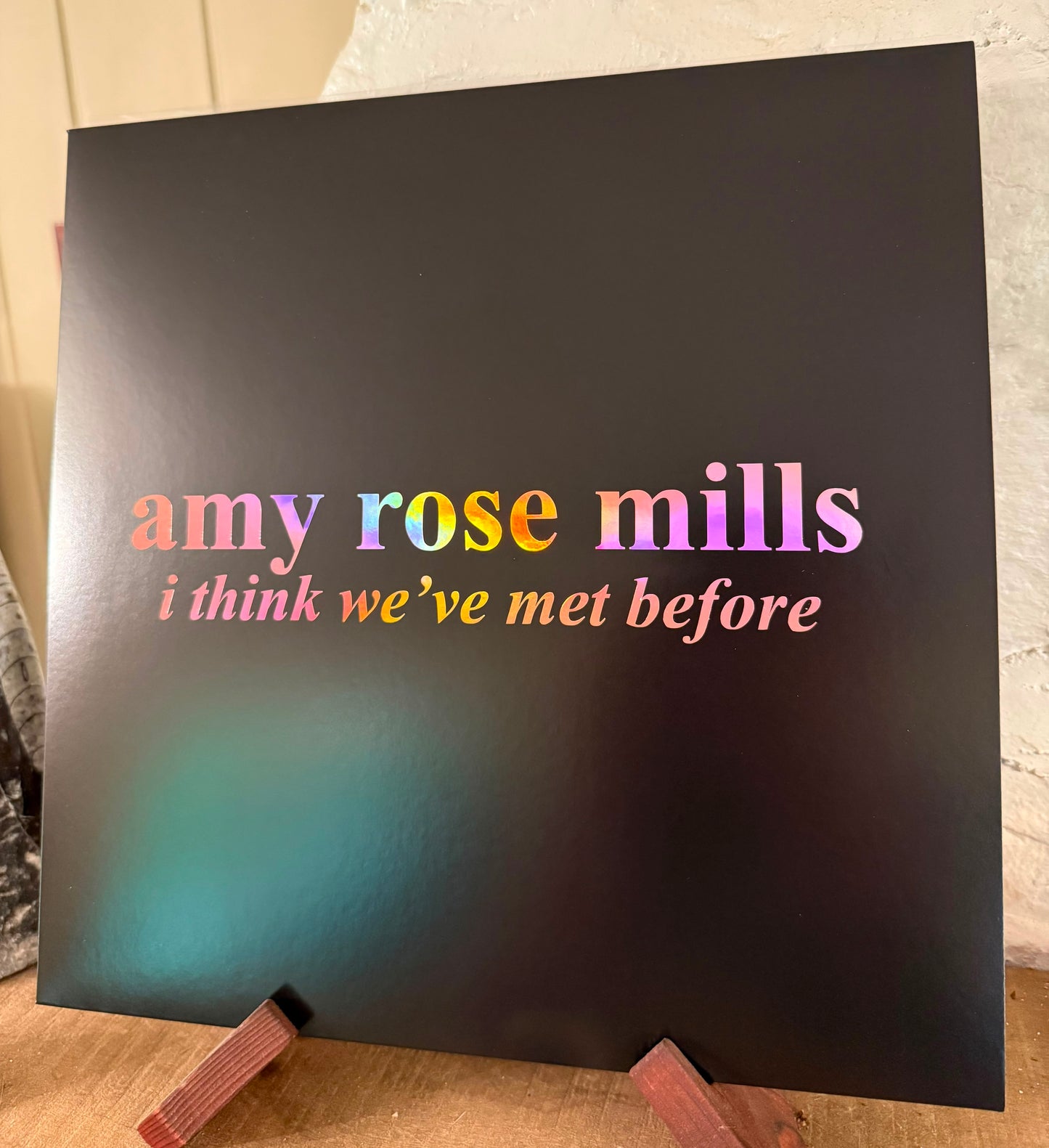 amy rose mills - i think we've met before- 12" Vinyl LP (PRE-ORDER)